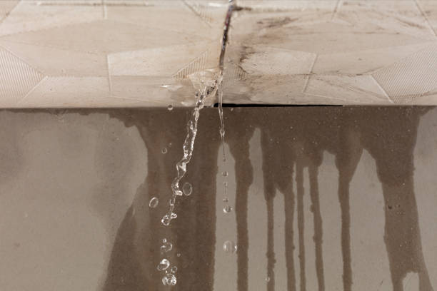 Professional Sewage Cleanup technician working in Ortonville, MN